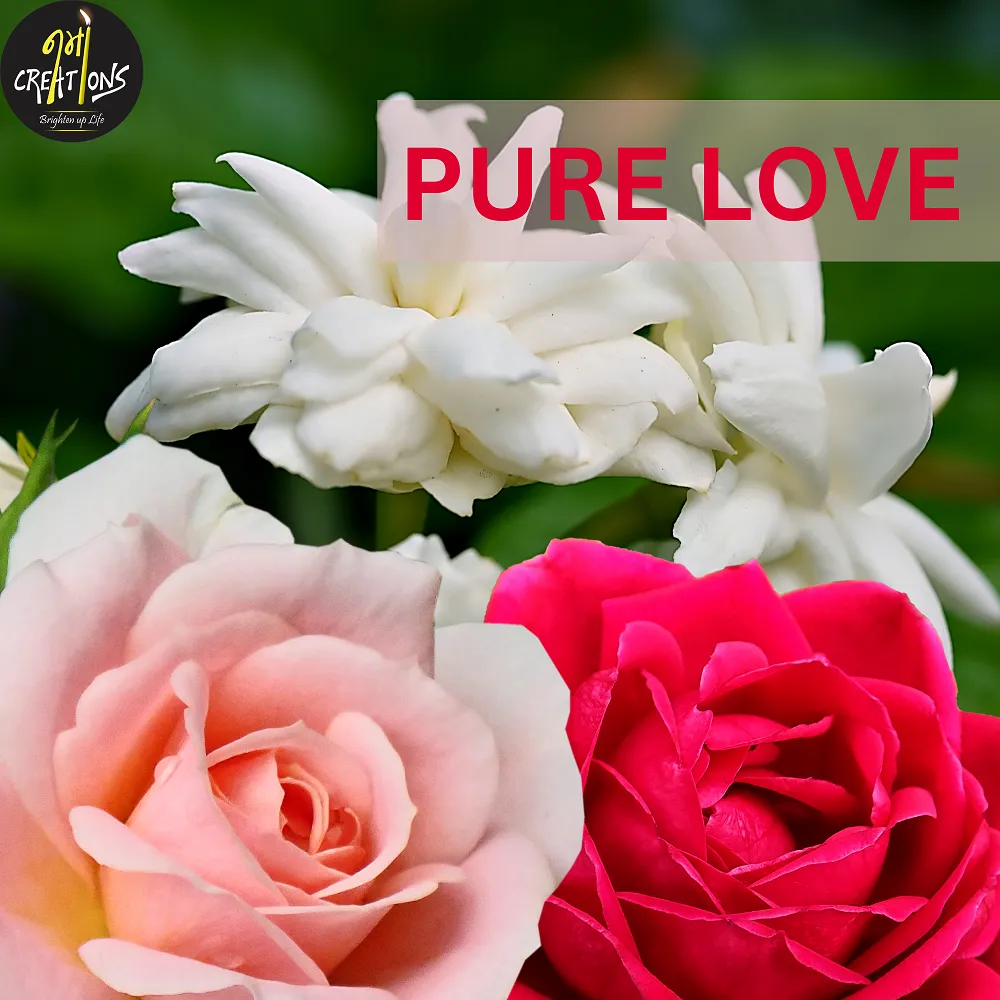[130048] Pure Love Fragrance Oil