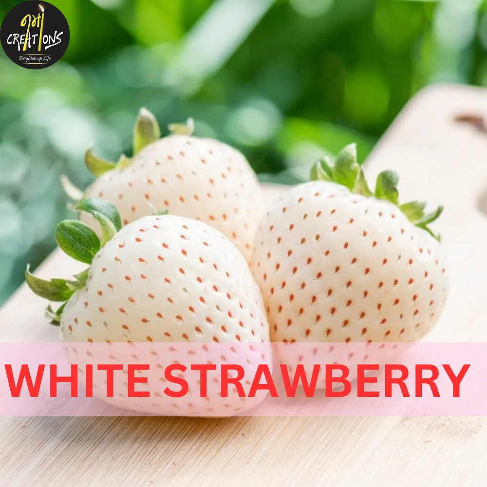 [130030] White Strawberry Fragrance Oil
