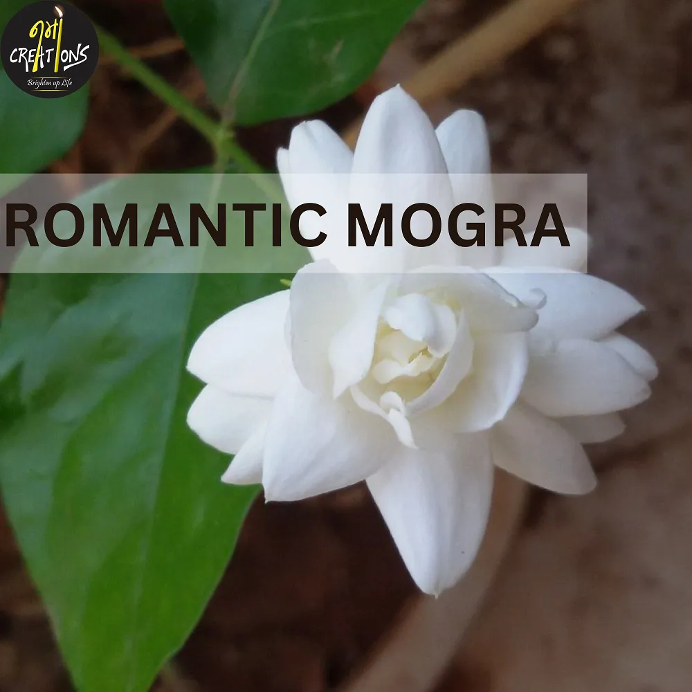 [130026] Romantic Mogra Fragrance Oil